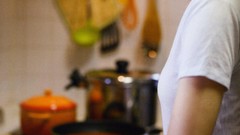 Japanese goldfish models scans