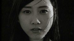 Japanese goldfish models scans