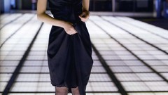 Japanese goldfish models scans