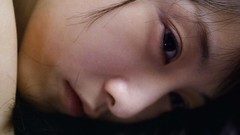 Japanese goldfish models scans