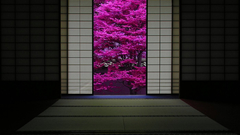 Japanese interior architecture