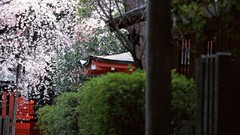 Japanese Japanese architecture