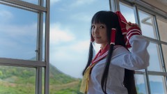 Japanese Mark models touhou Lenfried