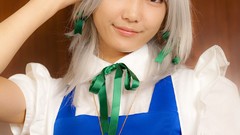 Japanese models touhou Lenfried