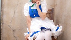 Japanese models touhou Lenfried