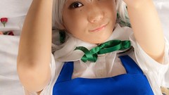 Japanese models touhou Lenfried