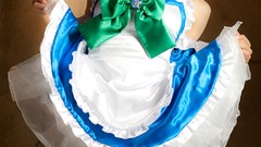 Japanese models touhou Lenfried