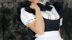 Japanese models touhou Lenfried