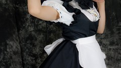 Japanese models touhou Lenfried