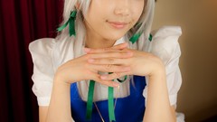 Japanese models touhou Lenfried