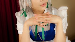 Japanese models touhou Lenfried