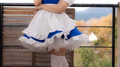 Japanese models touhou Lenfried