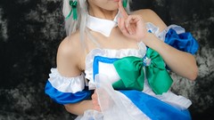 Japanese models touhou Lenfried