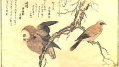 Japanese Owls kanji artwork Jays Kitagawa Utamaro