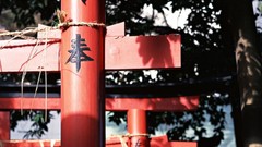 Japanese torii