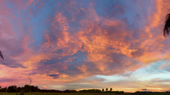 Jase Fiji small polloc