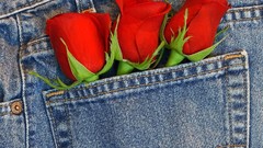 Jeans Flowers
