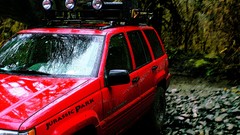 Jeep Rainforest Tyrannosaurus Rex