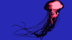 Jellyfish