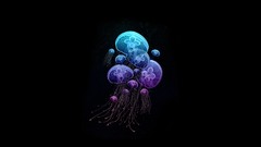 Jellyfish artwork