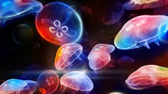 Jellyfish artwork Desktopography