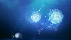 Jellyfish artwork digital art