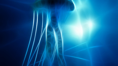 Jellyfish Fractalius