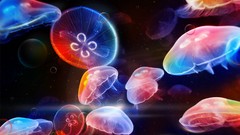 Jellyfish multicolor artwork Desktopography
