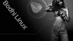 Jennifer Love Hewitt Linux grey Bodhi Linux