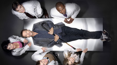 Jennifer morrison Lisa Edelstein