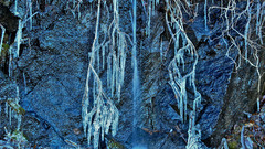 Joeys paradise nature blue