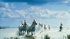 Journey complex magazine mystical