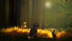 July summer dream nocal