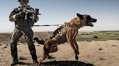 Jump War Dogs Army soldiers military German special forces 