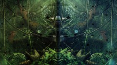 Jungle far cry 3 insane Rorschach test Insanity rook island