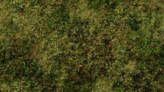 Jungle grass Textures