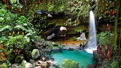 Jungle zoo playground