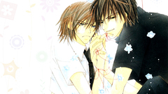 Junjou romantica shounen-ai