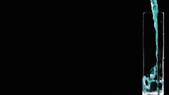 Just because white suck