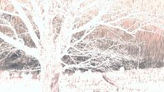 Just inverted and layered