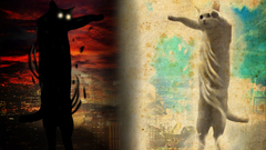 Just Made This Longcat Tacgnol actually