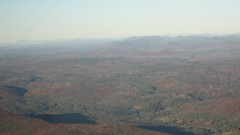 Just realized that all