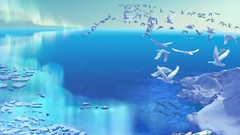 Kagaya Yutaka Celestial Exploring synforest