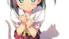 kantoku Anime Hentai Ouji to Warawanai Neko anime girls