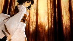 Kara no kyoukai Japanese