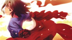 Kara no kyoukai ryougi shiki type-moon