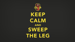 Karate cobra kai children