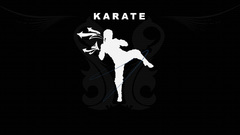Karate martial arts