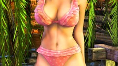 Kasumi bikini boobs Dead Or Alive