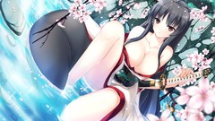 Katana Anime dress kimono Swords long hair anime girls nekomimi 